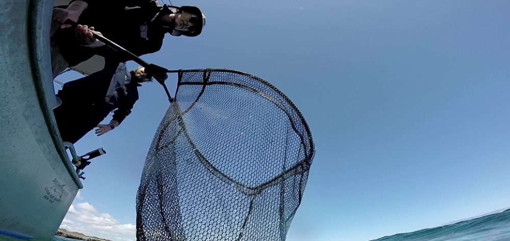 WAMSI researchers with a net WAMSI researchers with a net