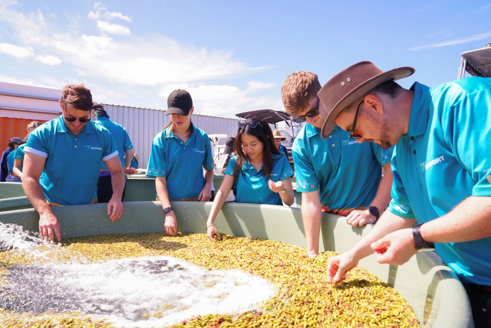 Seeds for Snapper event 2025 Seeds for Snapper event 2025