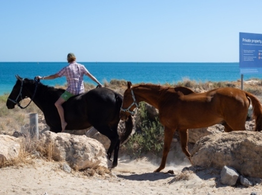 Two horses being led by a rider on to a horse beach.