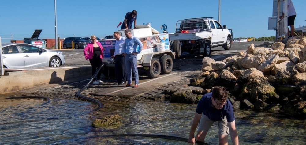 Snapper Guardians - Releasing snapper Snapper Guardians - Releasing snapper