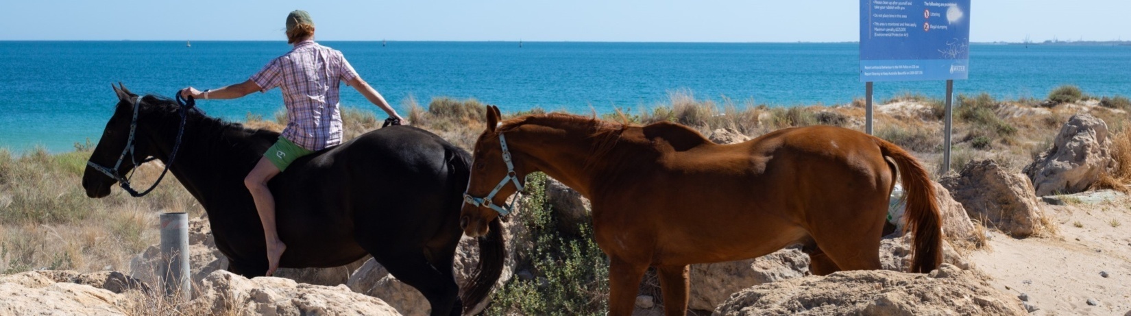 Two horses being led by a rider on to a horse beach.