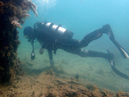 Scuba Diver Glenn Moore conducting marine research in the Cockburn Sound.