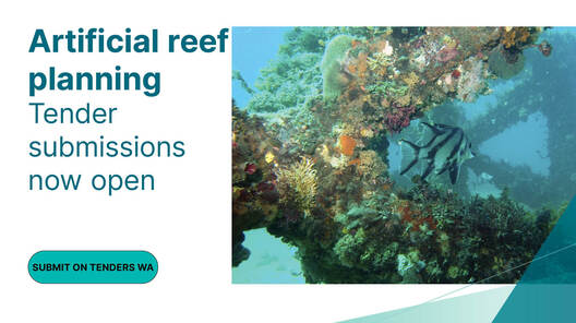White and teal graphic with teal wording that reads Artificial reef planning tender submissions now open submit on tenders wa and a photo of a fish swimming through an artificial reef