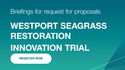 a blue and white background with white text reading "Briefings for request for proposals: Westport Seagrass Restoration Innovation Trial"