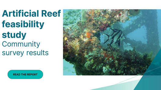 Graphic with image of fish swimming in an artificial reef and text that reads Artificial Reef feasibility study community survey results read the report.
