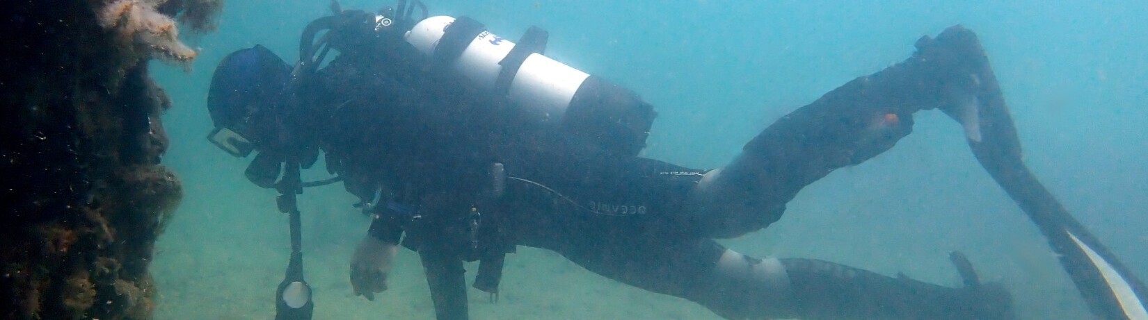 Scuba Diver Glenn Moore conducting marine research in the Cockburn Sound.